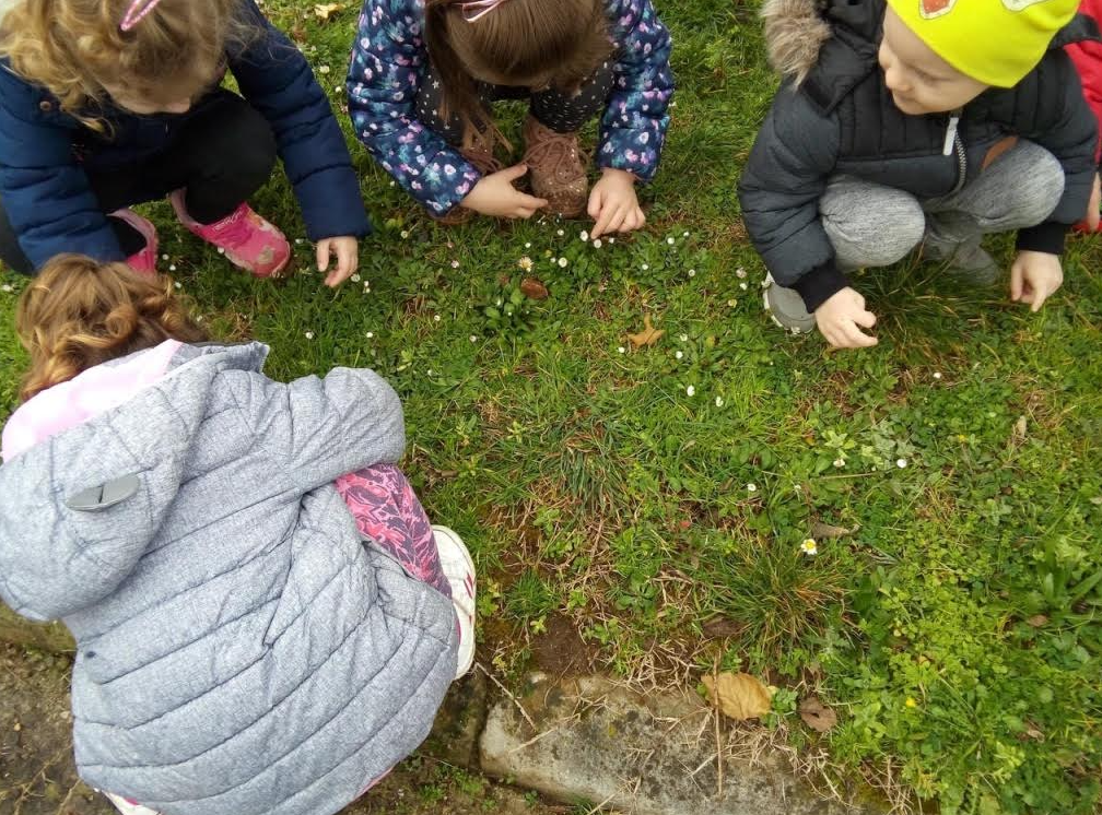 Projekt 'Vrtko' u Gradu Puli provodit će educirani treneri Ženskog rukometnog kluba Arena i odgojiteljice Dječjeg vrtića Pula